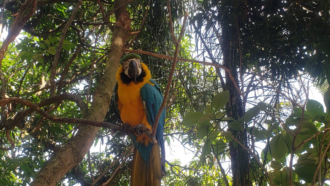 CityStream conectando Colombia