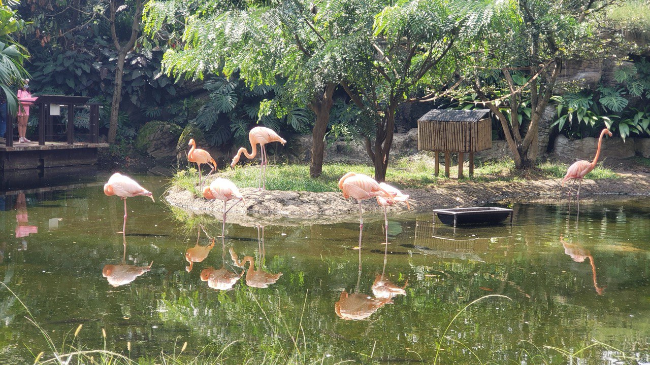 Cartagena - Ciudad amurallada
